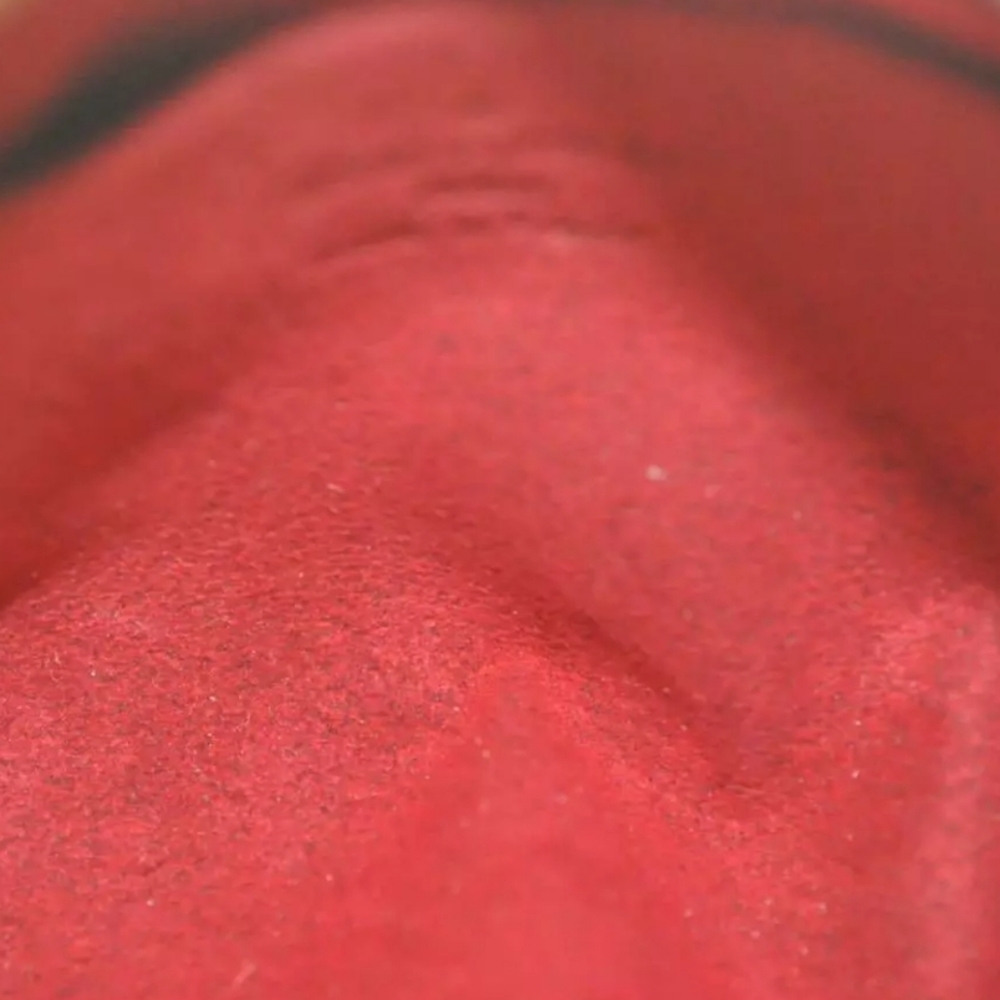Louis Vuitton Wapity Pouch - Picture 11 of 12